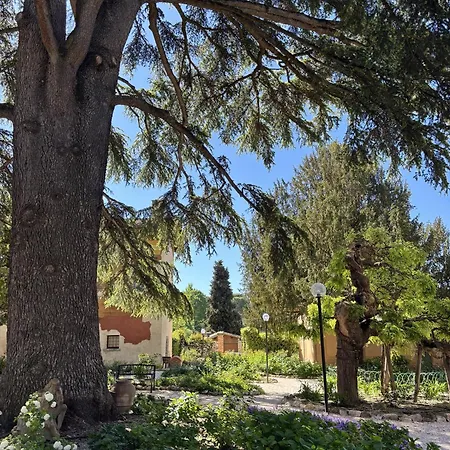 Apartamento Olivi *