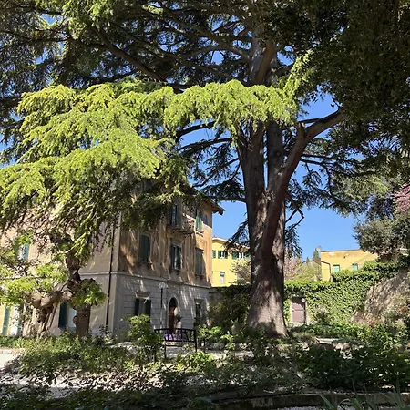 Olivi Perugia