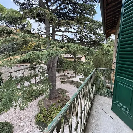 Olivi Apartamento *