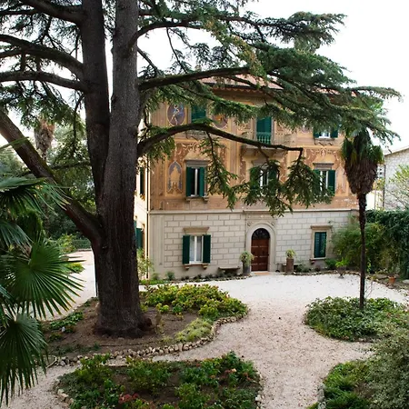 Olivi